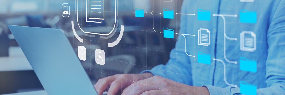 Document Management System (DMS) and business processes with IT